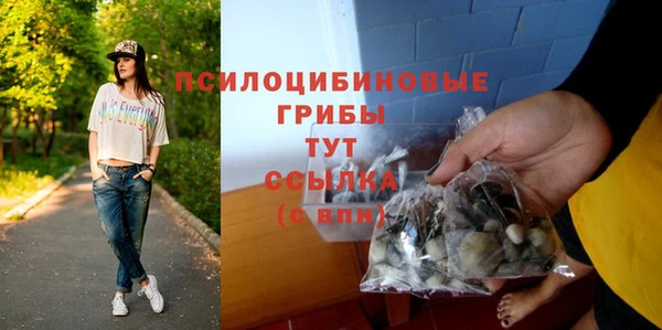 дживик Каменск-Шахтинский